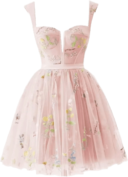 Zepumen Flower Embroidery Tulle Prom Dresses for Women Sweetheart Neck Formal Evening Party Gowns 03-pink 16