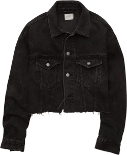 AE77 Premium Cropped Denim Jacket
