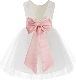 Ivory Backless Lace V-Back Flower Girl Dresses for Special Occasions 206T
