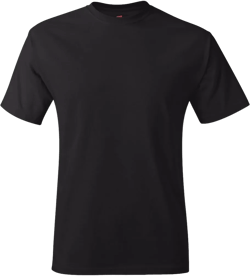 Hanes Mens Tagless T-Shirt Black