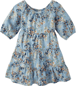 Gymboree Girls' and Toddler Short Sleeve Tiered Dresses 5T Blue Flowers
