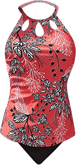 Two Piece Tankini Swimsuits for Women Cutout Halter Neck Tummy Control Bathing Suit with High Waist Brief Swimwear Set X-Large 01-wine