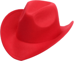 Cowgirl Hat for Women Wide Brim Monochrome Wool Cowboy Hats Man Fashion Vintage Formal Wedding Girls Outback Hat Red