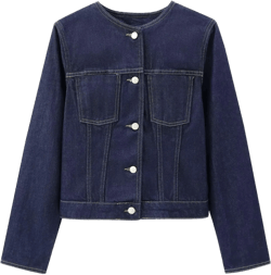 Autumn Fashion Elegant French Minimalist Women's Clothing Single Breasted Round Neck Denim Jacket Women Small Navy