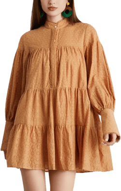 Women's Bohemian Floral Print Button Down Long Lantern Sleeve Shift Tunic Dress Casual Ruffle Swing Mini Dress X-Large Khaki