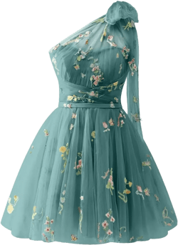 One Shoulder Tulle Homecoming Dresses for Teens Flowy Short Flower Embroidery A-line Evening Party Dresses for Women : Clothing, Shoes & Jewelry