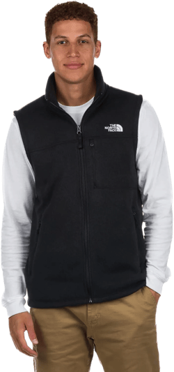 THE NORTH FACE Men's Tsillan Vest Large Black Heather