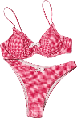 Women's 2 Piece Y2K Gingham Bow Front Bikini Set Underwire Bikini Thong Swimsuit High Waisted Bathing Suit Beachwear Pink X-Large