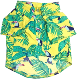 High Quality Buttoned Up Collar Shirts - Yellow & Green