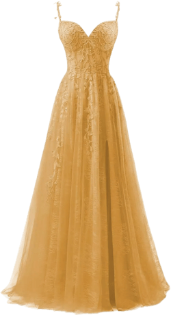 Tulle Lace Applique Prom Dresses Long for Women 2024 Spaghetti Straps A-Line Evening Cocktail Party Dresses HGR8 0 Gold