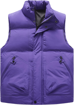 Men's Outerwear Vests Winter Puffer Standing Collar Down Cotton Slim Fitting Vest For Casual Outdoor, M-5XL Medium An20-purple