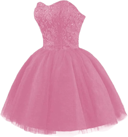 Strapless Short Tulle Homecoming Dresses for Teens Lace Prom Dresses for Women Beaded A Line Party Cocktail Dresses : Clothing, Shoes & Jewelry
