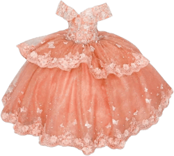 Ftupza Tulle Lace Flower Girl Dresses for Wedding Off Shoulder Ball Gown Beaded First Communion Dress Butterfly Pageant Dress: Clothing, Shoes & Jewelry