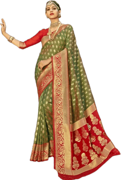 Vipasha Woven Soft Silk Saree