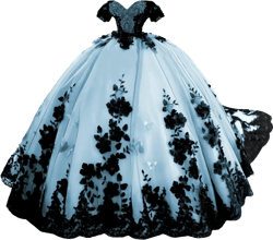 Gorgeous Black Lace Appliques Quinceanera Dresses Puffy Tulle Sweet 15 Dresses Pearly Beaded Ball Gowns with Train Light Blue 8