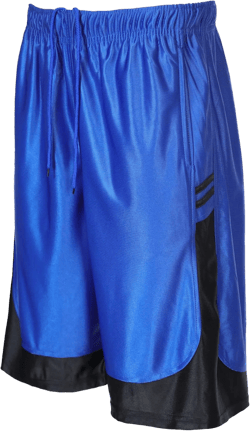 StyLeUp Men's Active Athletic Mesh Basketball Gym Shorts (Stripe RB L)