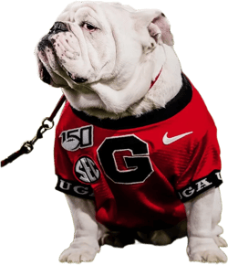 UGA Georgia Bulldogs: Poster Print - Uga X Under The Lights Mascot - University of Georgia Photo Art (Unframed)