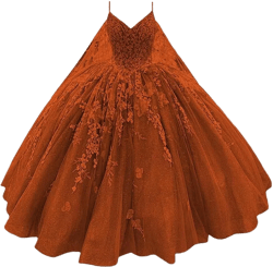 XYAYE Spaghetti Straps V-Neck Quinceanera Dresses Ball Gown with Cape Puffy 3D Flower Lace Tulle Sweet 15 16 Dresses XY097 6 Burnt Orange
