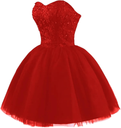 GREEKKNIGHT Tulle Beading Homecoming Dresses Short Strapless Dress Mini Lace Tulle Prom Dress for Women 2025 : Clothing, Shoes & Jewelry