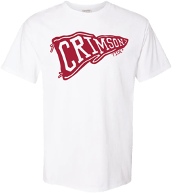 Alabama Pennate Flag Tee