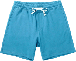 AMY COULEE Mens Athletic Workout Shorts 5.5" Cotton Casual Shorts Elastic Waist Joggers Sports Sweat Shorts X-Large Blue