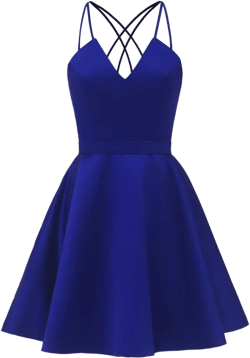 Molisa Spaghetti Straps Satin Homecoming Dresses for Teens V Neck Short Prom Dress Sparkly A-Line Formal Evening Party Gowns Royal Blue Satin 22