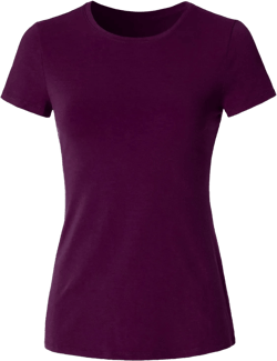 Women's Crewneck Short Sleeve Slim Fitted T-Shirt Solid Basic Tee Stretchy Casual Top Large Jtt003_plum