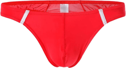 Ice Silk Underwear for Men Low Waist Bulge Pouch Thong Bikini Briefs Stretch Breathable G-String Sexy Panties (Red,Large)