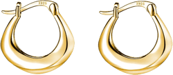 Reffeer 925 Sterling Silver Chunky Hoop Earrings for Women Teens Thick Hoop Earrings Minimalist Huggie Earrings Hypoallergenic