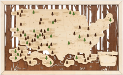 Wooden US National Parks Map Wall Art, National Park Checklist Wall Decor, Birthday Gifts for Boys, Father's Day Gifts for Dad, Teacher, Coworker, Men, Women, Husband, Wife (Forest)