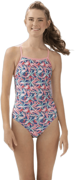 Dolfin Uglies Women's One Piece Swimsuit - Athletic V-Back Training Swimsuit (Pink Blue, 26)