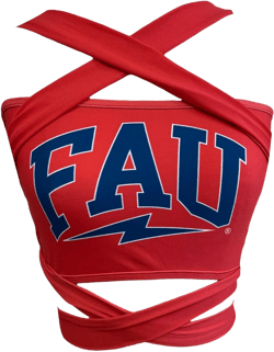 Lojobands Women's Multi Way Bandeau Tube Top One Size Made in USA One Size Fau Owls - Red
