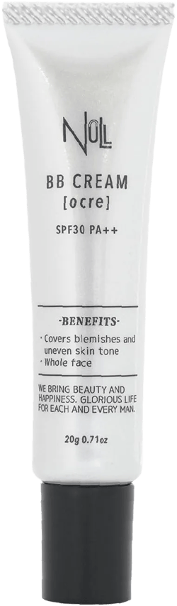 [Matte Finish] NULL mens BB Cream, Mens concealer, Tinted Moisturizer broad spectrum SPF30 PA++, CC cream, Revitalising Nourishing Tone Up Cream, Natural Cover, 0.7oz Made in Japan (Ochre) 0.7 Ounce (Pack of 1) Ochre