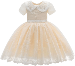 Dolly lace-embroidery dress 