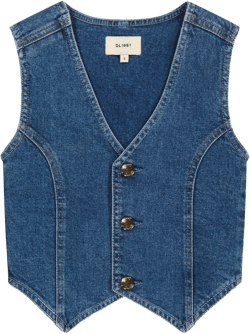 Zizi vest 