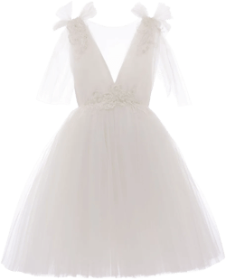 Aspen tulle-panels dress
