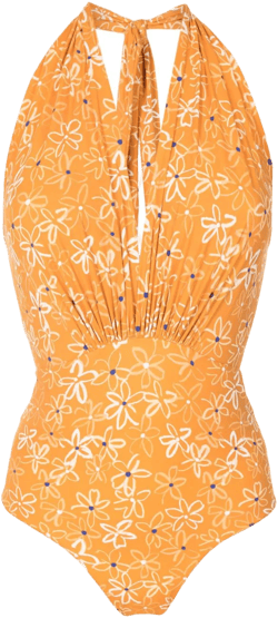 Deneuve halterneck swimsuit