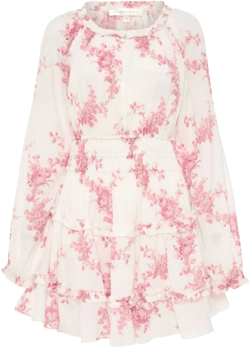 floral mini dress
