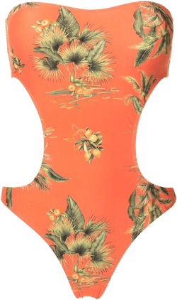 Taylor floral-print swimsuit