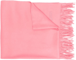 tasselled logo-embroidered scarf