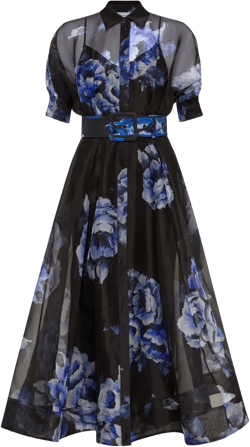 Florentine floral-print silk-chiffon dress