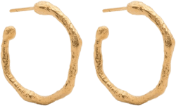 irregular-design hoop earrings