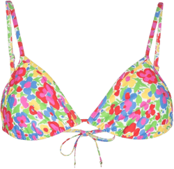 Izzi floral-print bikini top
