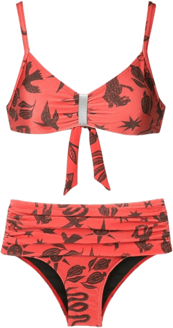 Anne logo-plaque bikini set