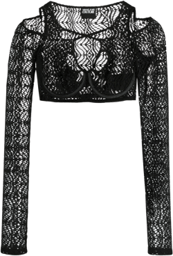 mesh-lace cropped top