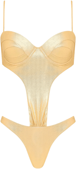 cut-out swimsuit