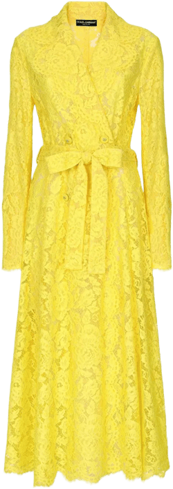 cordonetto-lace trench coat
