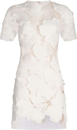 Hada semi-sheer minidress