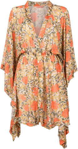 Nilo floral-print dress