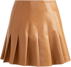 Carter faux leather pleated skirt